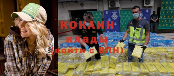 дмт Аркадак