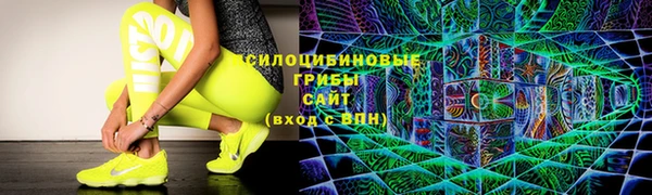 дмт Аркадак