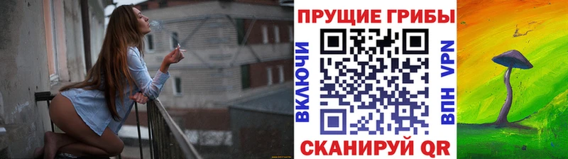 где купить наркотик  Баймак  Галлюциногенные грибы Magic Shrooms 